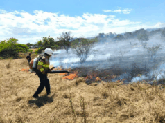 Cundinamarca activa plan de prevención por temporada seca