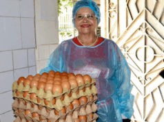 ¡Más ingresos y menos intermediarios! Así está cambiando el campo en Cundinamarca