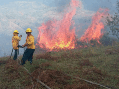 Alerta en Cundinamarca: aumenta el riesgo de incendios forestales