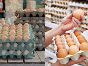 Gobierno comprará más de 4 millones de huevos: abre millonaria oportunidad