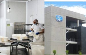 Cierran Alpina: Ministerio ordena sellamiento inmediato