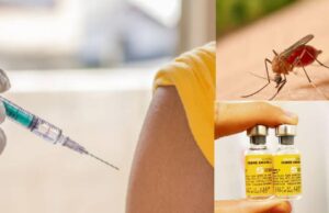 Mosquera refuerza vacunación contra la fiebre amarilla