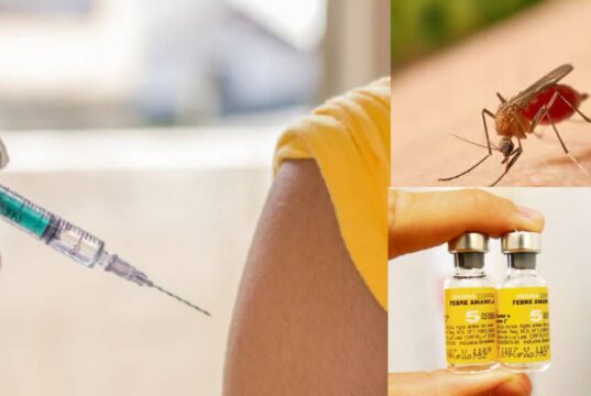 Mosquera refuerza vacunación contra la fiebre amarilla