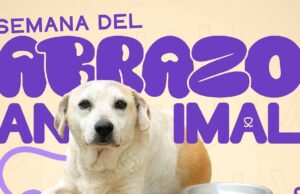 Mosquera lanza la Semana del Abrazo Animal con servicios gratuitos