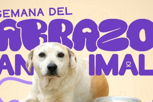 Mosquera lanza la Semana del Abrazo Animal con servicios gratuitos