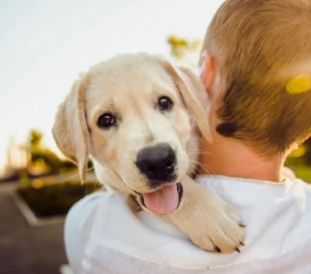 ¡Oportunidad única en Mosquera! Perritos y gatos esperan un hogar