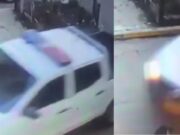 En Madrid un vehículo atropello y abandonado a una gata