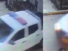 En Madrid un vehículo atropello y abandonado a una gata
