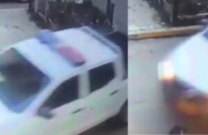 En Madrid un vehículo atropello y abandonado a una gata
