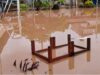Niños afectados y nadie responde: en Madrid colegio lleva semanas inundado