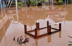 Niños afectados y nadie responde: en Madrid colegio lleva semanas inundado