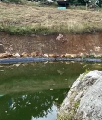 La CAR suspendió proyecto turístico por daño ambiental