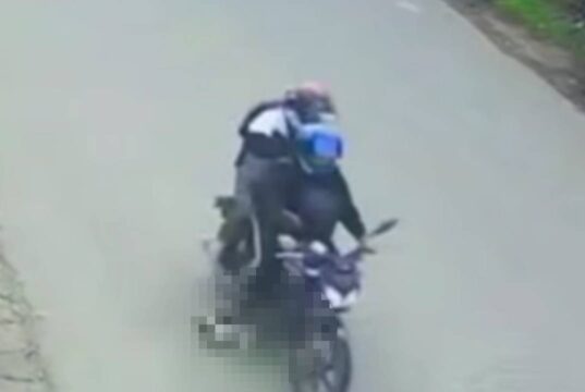 Indignación en Madrid: motociclistas atropellaron y mataron a un perro