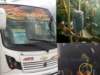 Pasajeros fueron asaltados dentro de bus intermunicipal