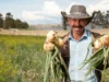 Campesinos han sido beneficiados con inversiones del departamento