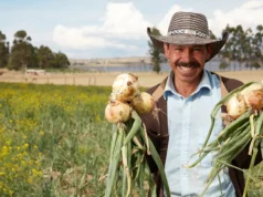 Campesinos han sido beneficiados con inversiones del departamento