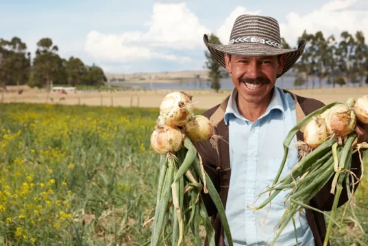Campesinos han sido beneficiados con inversiones del departamento