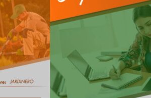 Nuevas vacantes de empleo: así puede postularse