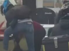 Conductor de bus protagonizó violenta riña en la Calle 13