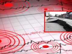 Temblor reportado: aumenta la atención sobre la actividad sísmica