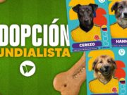 En Mosquera perros en adopción buscan una segunda oportunidad