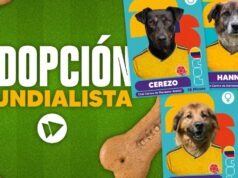 En Mosquera perros en adopción buscan una segunda oportunidad