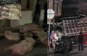 Así quedó una vivienda tras el violento choque de un camión cargado con cerdos
