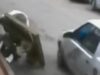 Conductor embistió a un adulto mayor y se dio a la fuga