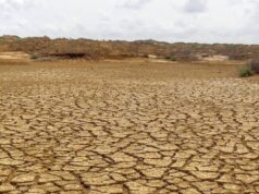 ¿Se acerca el fenómeno de El Niño? Cundinamarca se prepara