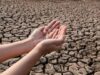 Medio ambiente en alerta: Cundinamarca se prepara para el fenómeno de El Niño