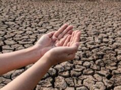 Medio ambiente en alerta: Cundinamarca se prepara para el fenómeno de El Niño