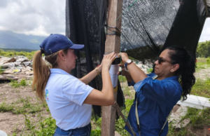 Lo que encontraron las autoridades en este proyecto solar obligó a suspender actividades de inmediato