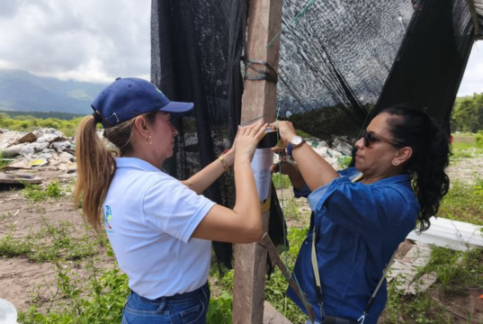Lo que encontraron las autoridades en este proyecto solar obligó a suspender actividades de inmediato