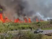 ¡Emergencia en la vía Bogotá–Girardot! Incendio forestal movilizó a decenas de bomberos