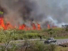 ¡Emergencia en la vía Bogotá–Girardot! Incendio forestal movilizó a decenas de bomberos