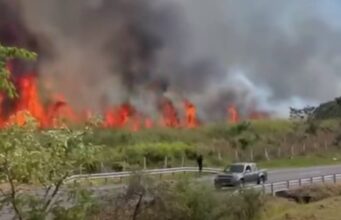 ¡Emergencia en la vía Bogotá–Girardot! Incendio forestal movilizó a decenas de bomberos
