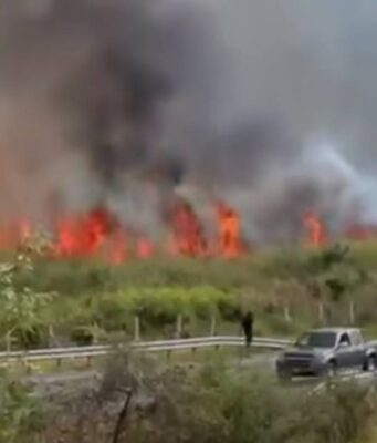 ¡Emergencia en la vía Bogotá–Girardot! Incendio forestal movilizó a decenas de bomberos