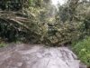 Las lluvias mantienen en riesgo a varios municipios por posibles deslizamientos
