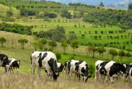 CAR y Fedegán ponen en marcha un ambicioso plan ambiental