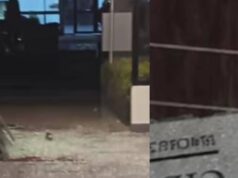 Noche de terror en Madrid: a tiros destrozaron la puerta de un conjunto