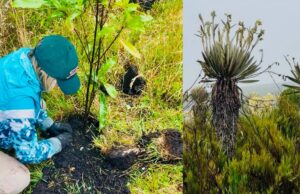 Cundinamarca refuerza la conservación del páramo de Sumapaz