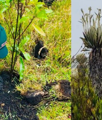 Cundinamarca refuerza la conservación del páramo de Sumapaz