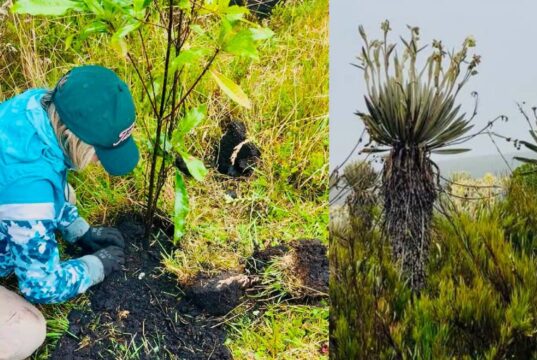 Cundinamarca refuerza la conservación del páramo de Sumapaz