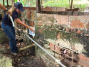 Granja de cerdos en Nilo: CAR suspendió vertimientos contaminantes Granja de cerdos en Nilo: CAR suspendió vertimientos contaminantes