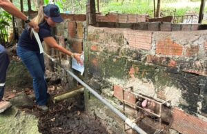 Granja de cerdos en Nilo: CAR suspendió vertimientos contaminantes Granja de cerdos en Nilo: CAR suspendió vertimientos contaminantes