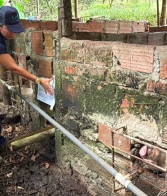 Granja de cerdos en Nilo: CAR suspendió vertimientos contaminantes Granja de cerdos en Nilo: CAR suspendió vertimientos contaminantes