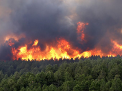 Cundinamarca registra 532 incendios forestales en 2026 y refuerza el llamado a la prevención
