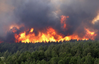 Cundinamarca registra 532 incendios forestales en 2026 y refuerza el llamado a la prevención