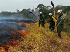 Así avanza el control de los incendios forestales en Cundinamarca