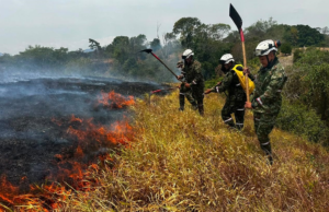 Así avanza el control de los incendios forestales en Cundinamarca